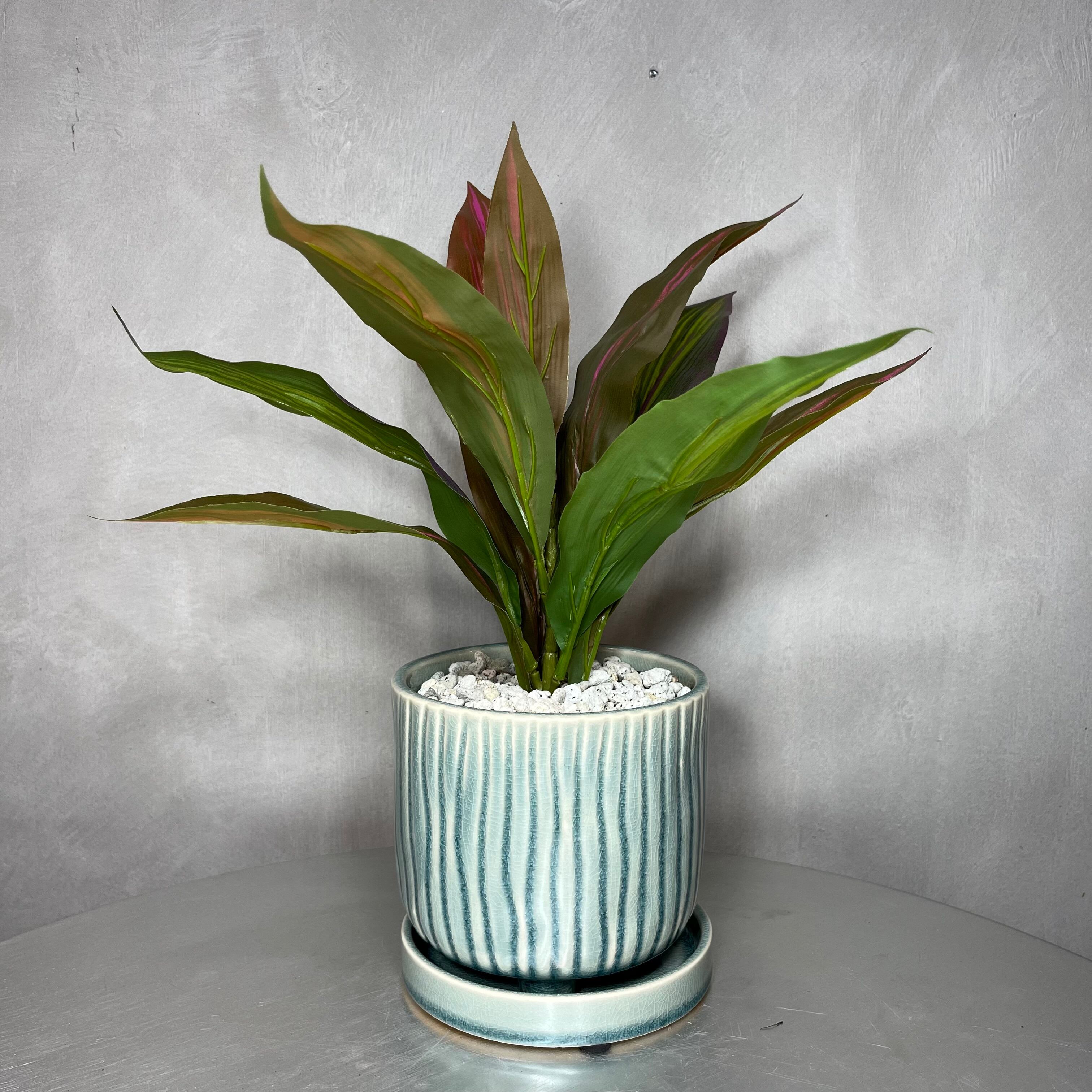 フェイクグリーン コルジリネ 陶器鉢