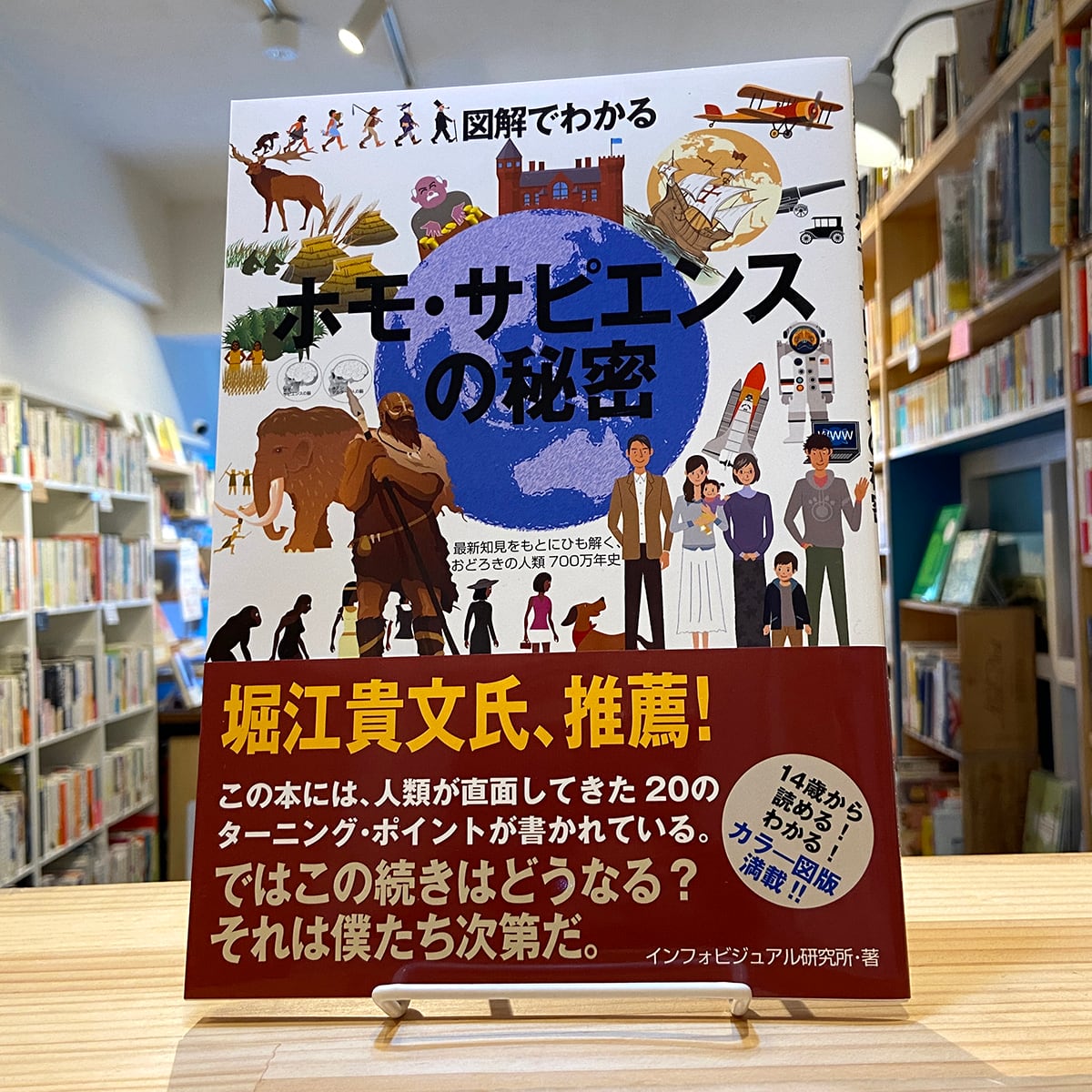図解でわかる ホモ・サピエンスの秘密 | BOOKSHOP 本と羊