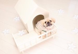 LANAI M (おしゃれ ホワイト バルコニーハウス ベット  室内 犬小屋 小型犬 中型犬 木製 日本製 白 フレブル パグ チワワ ヨークシャー Mダックス 猫 cat)