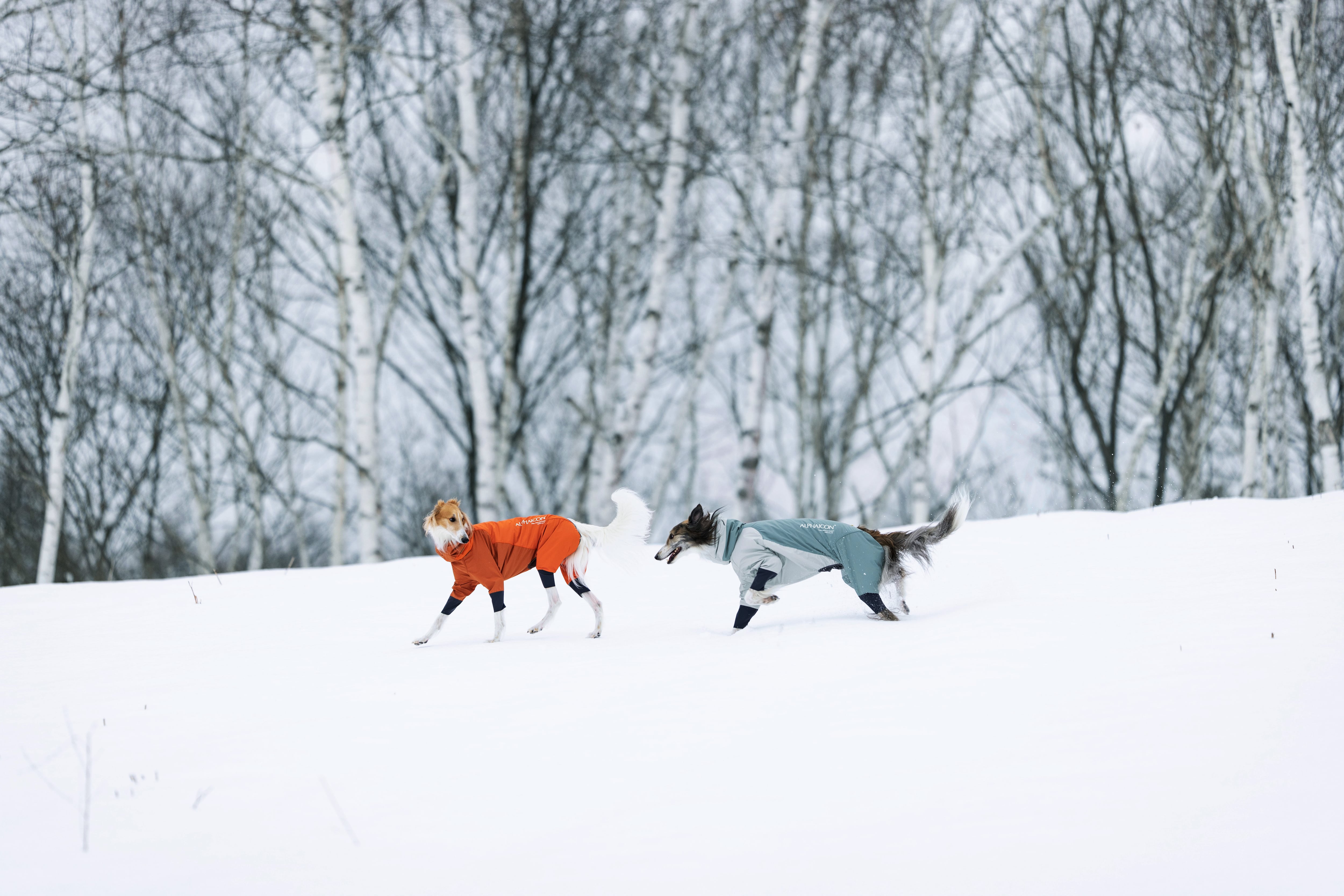 FPM】SNOW DOG GUARD スノードッグガード ALPHAICON アルファ FPM】SNOW DOG GUARD スノードッグガード ALPHAICON アルファ