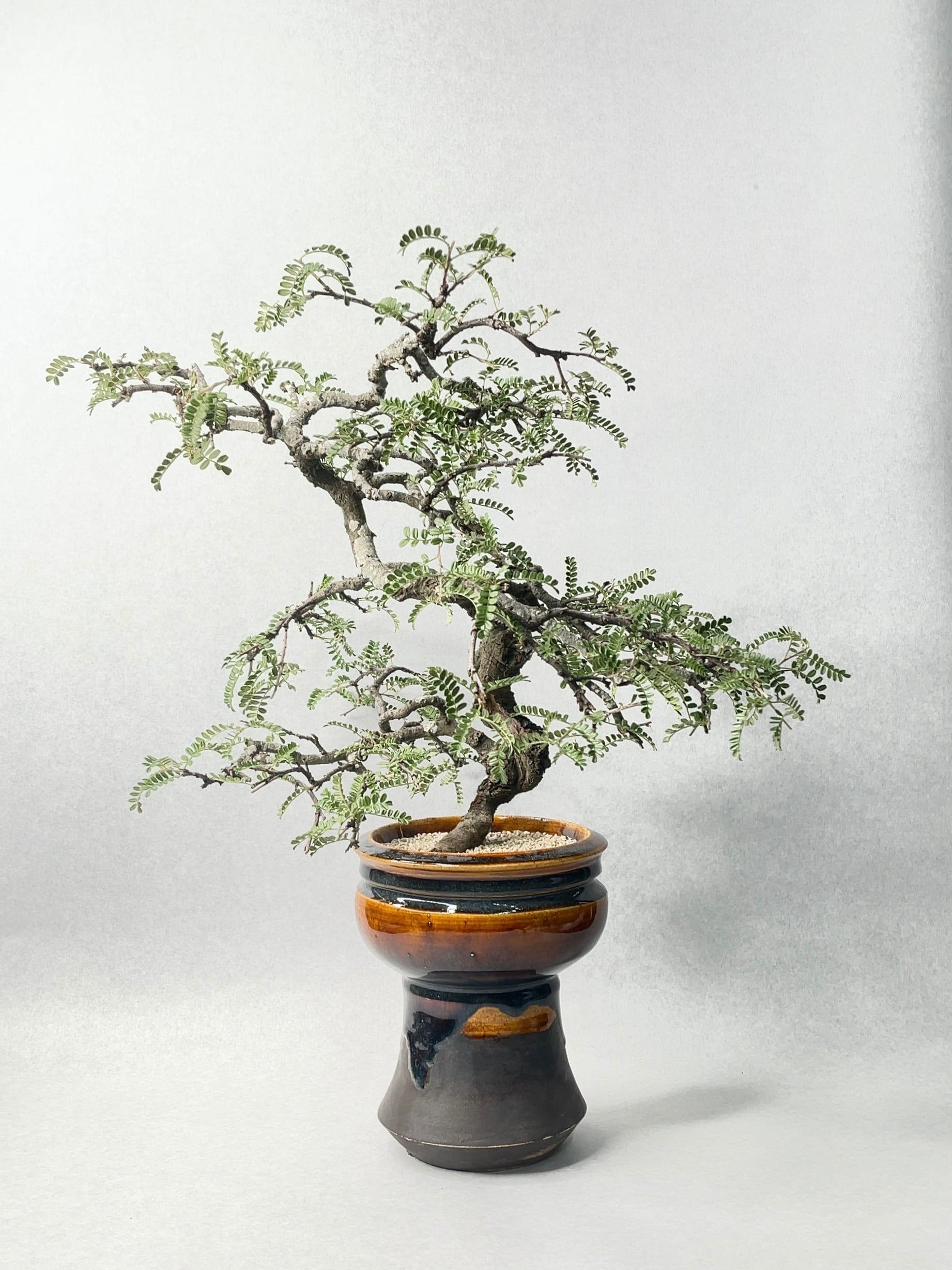 化粧石 白・S 1L | trigger