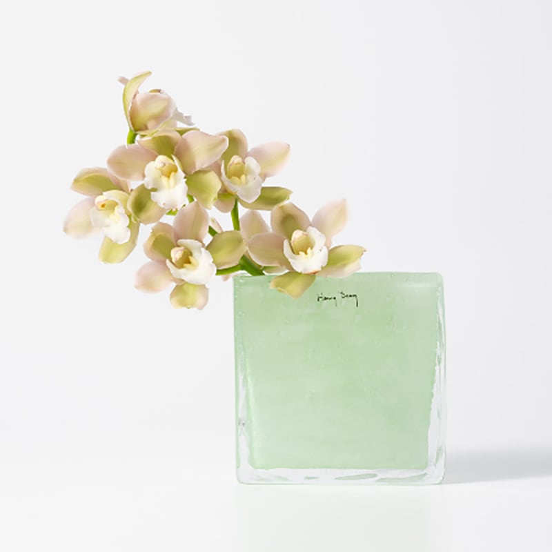 2026年2月発売》Square XS ミント［ HENRY DEAN ］ | REAL Style