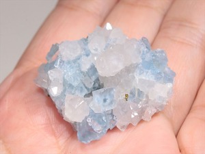 Fluorite（Le Burc France)