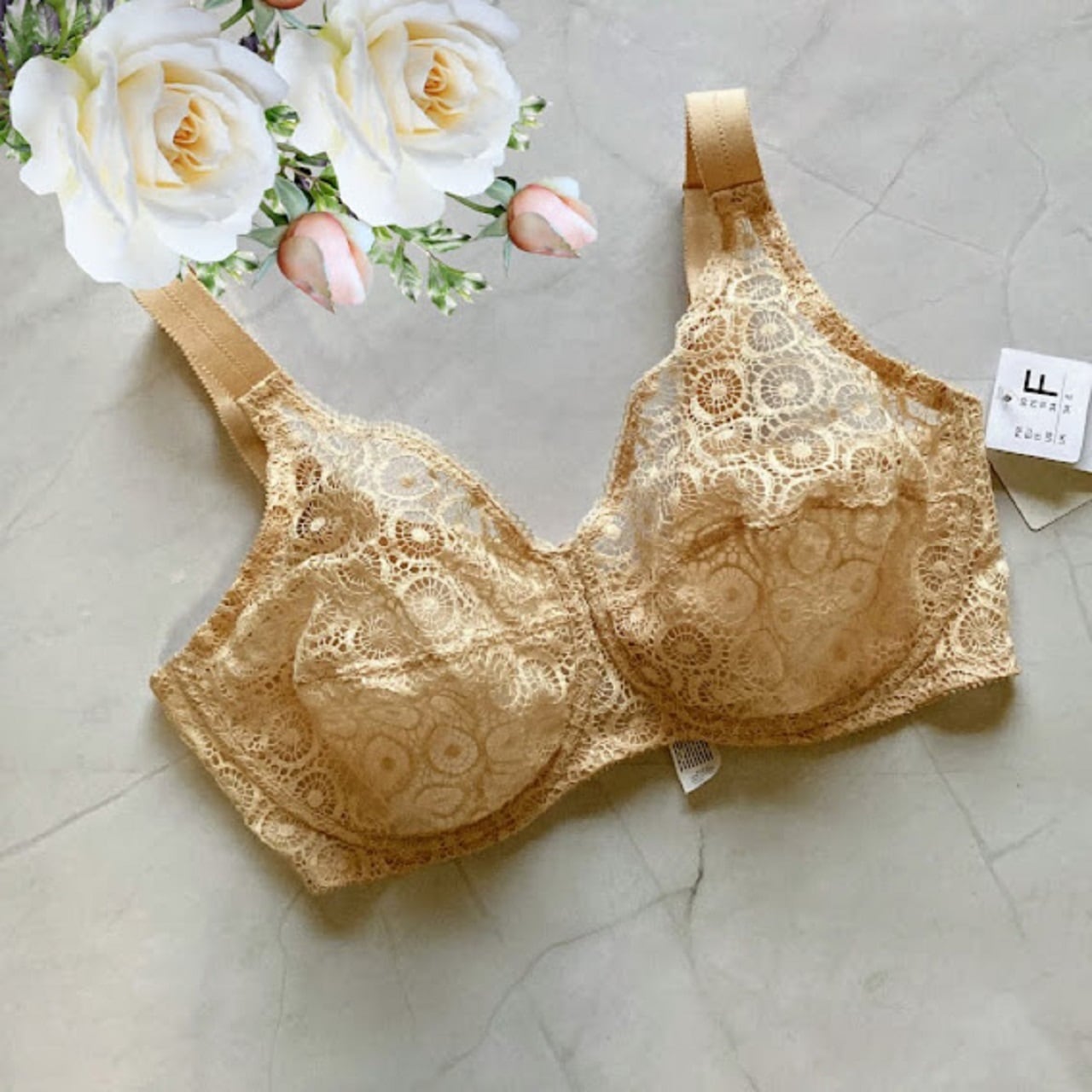 70F☆Chantelle シャンテル　フランス海外高級ランジェリー　茶色 1939029190.jpg?1686564211