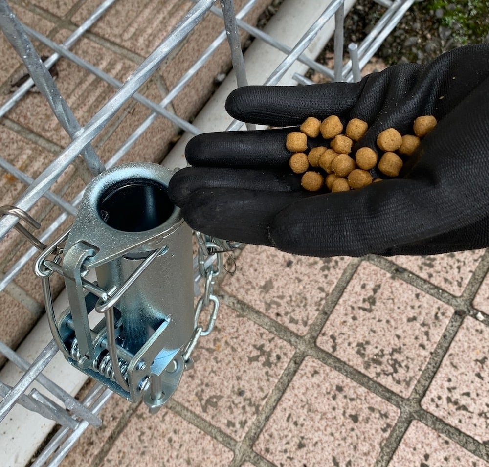 s*y様 ●太田製作所 アラホール●6個セット アライグマ専用捕獲機 駆除 簡単 dda905fa55b9ef78e62d964e2175cf