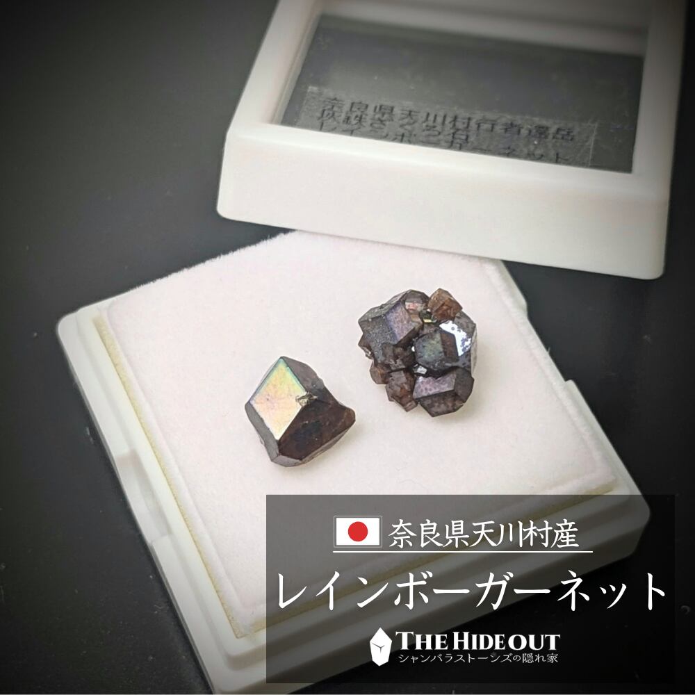 日本国産鉱物標本073 奈良県吉野郡天川村行者還岳レインボーガーネット 研磨&ミニクラスター贅沢味くらべ