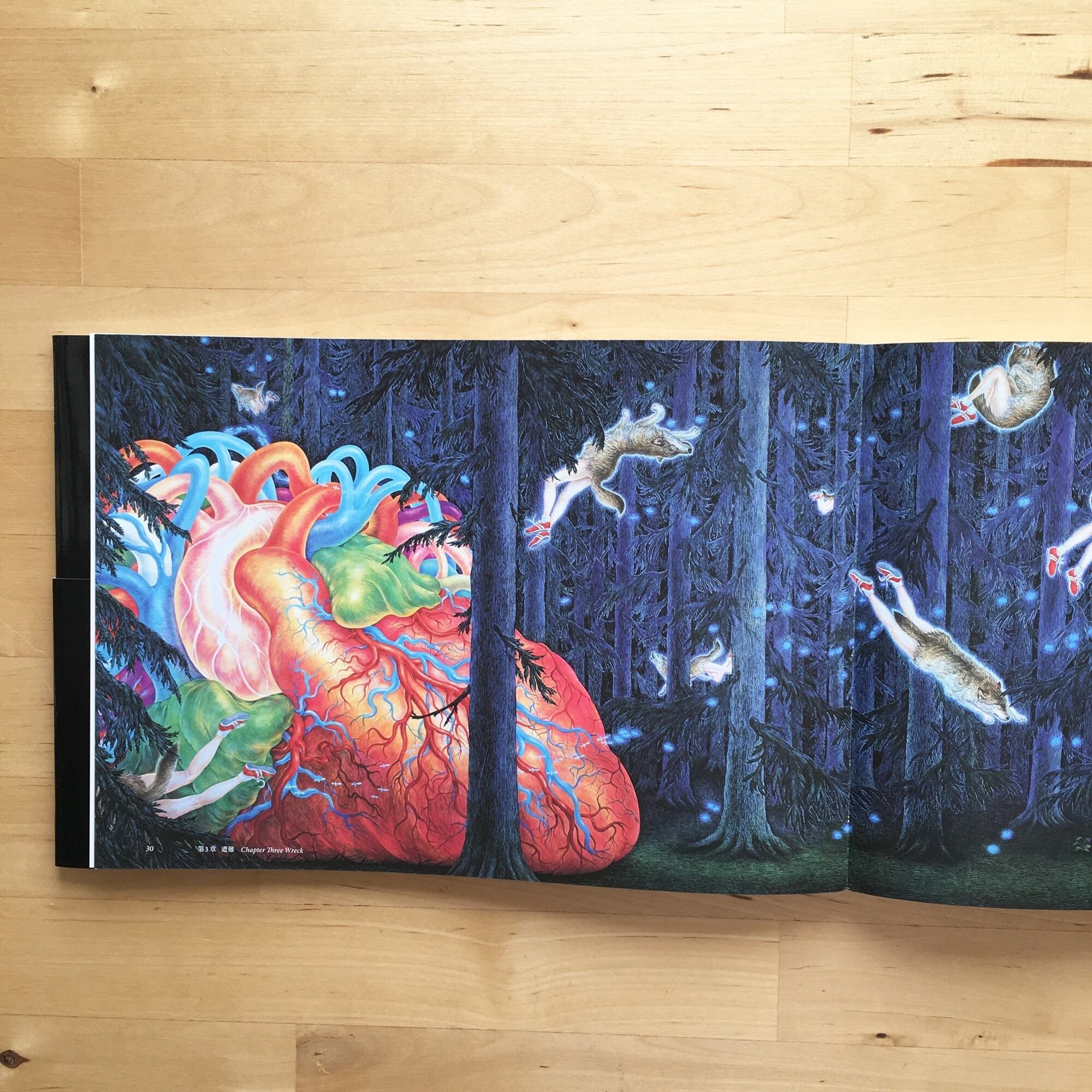 鴻池朋子『インタートラベラー──死者と遊ぶ人』 | 羽鳥書店 Hatori Press