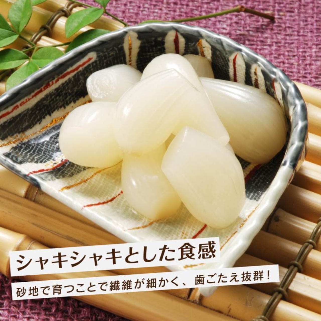 【無農薬】砂丘らっきょう 10kg 洗いらっきょう 鳥取 らっきょう らっきょ