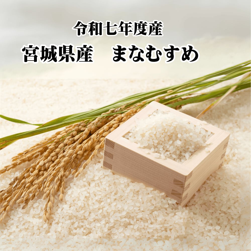 送料無料 令和7年産 減農薬・有機肥料使用 宮城県産 まなむすめ 5kg 白米 玄米 菊池牧場
