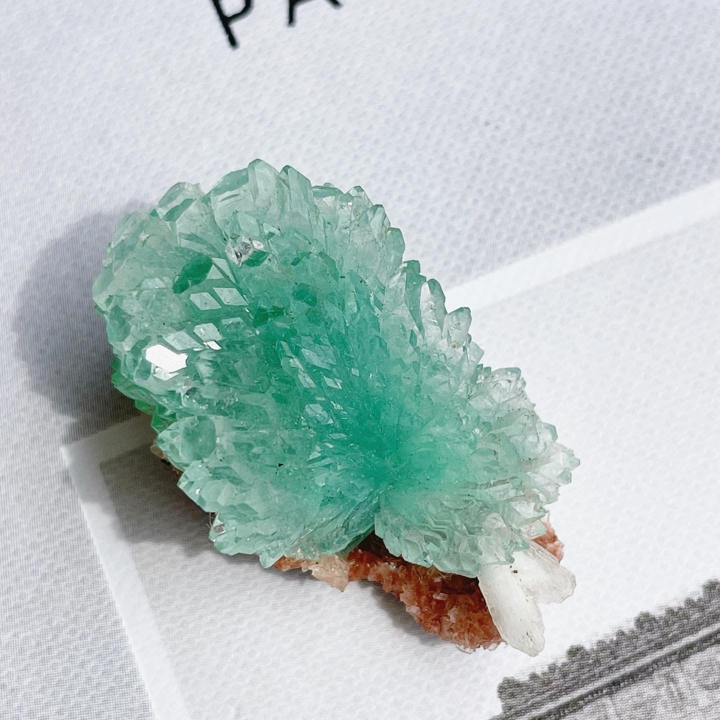 Flower Green Apophyllite 3 | FLUXY - 天然石と鉱物のお店 フラクシー