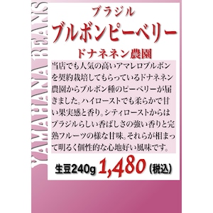 ブラジル ドナネネン農園 ブルボンピーベリー（ブラジル）生豆240gを焙煎