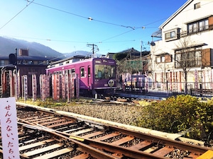 京の路面電車