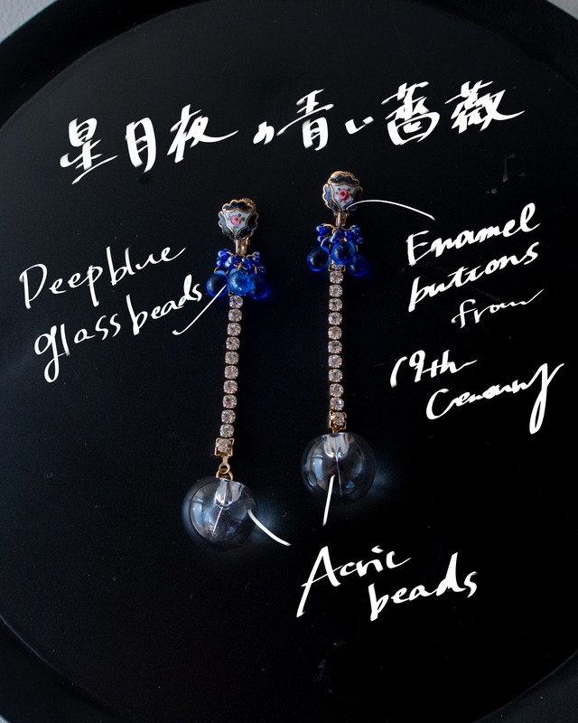 星月夜の青い薔薇