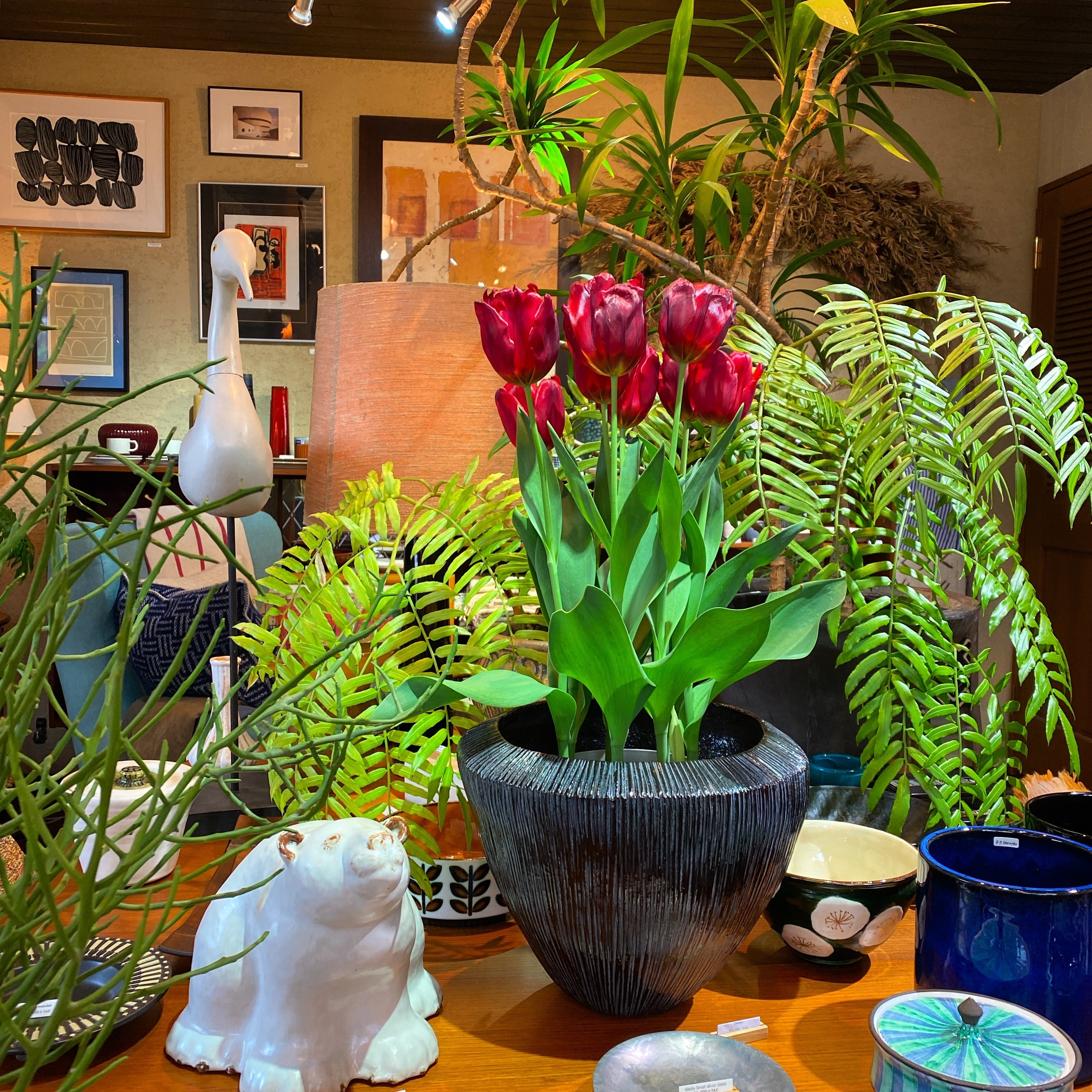 DOMANI Planter Atlantis | 575select