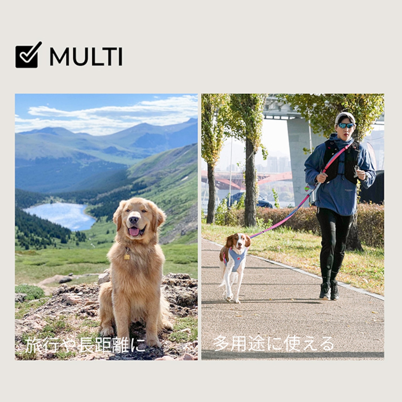 ※予約【puppygallery公式】Momentum - Basic Leash マルチタイプ幅 2.0cm × 長さ 106〜201cm（調節可能）