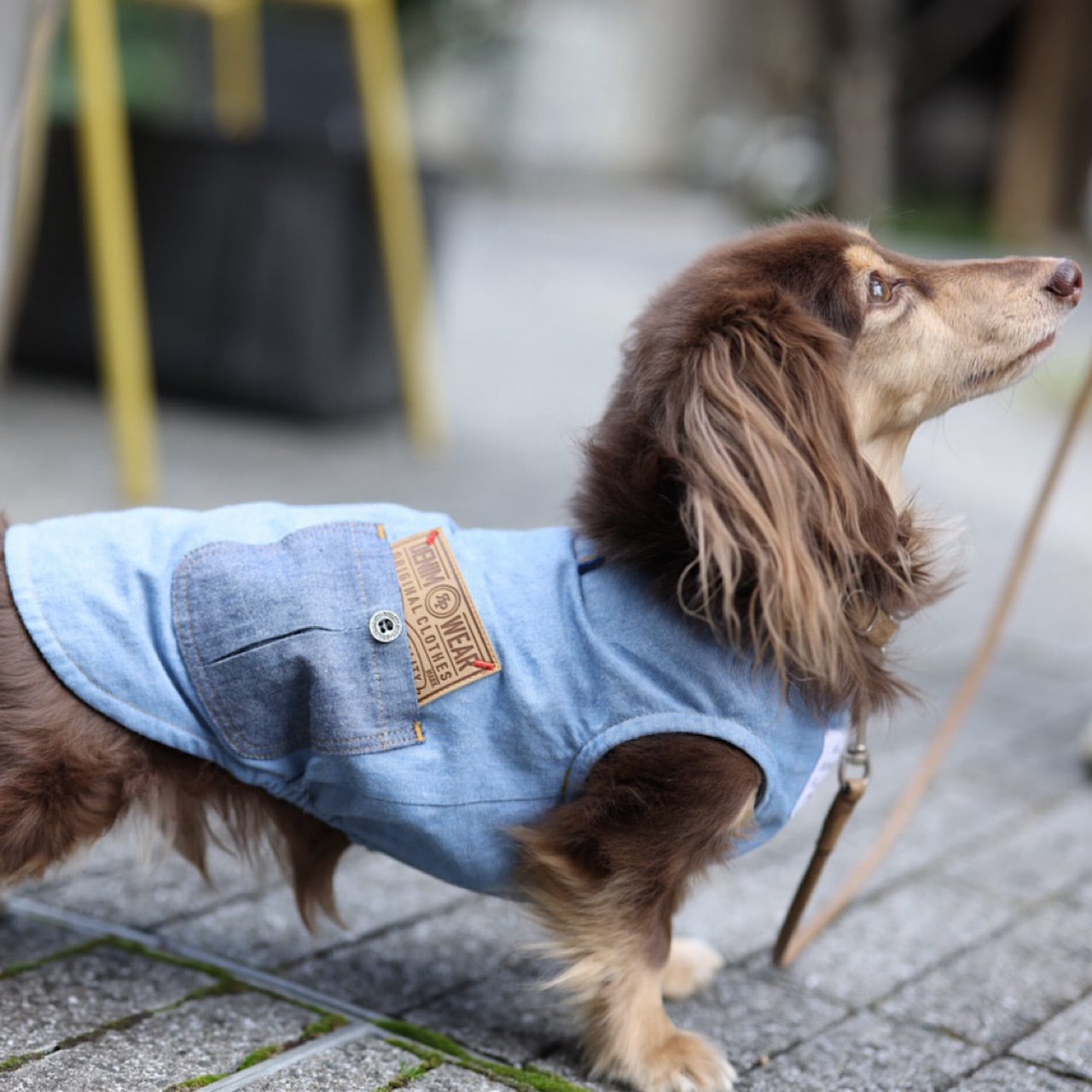 ダンガリーポッケ