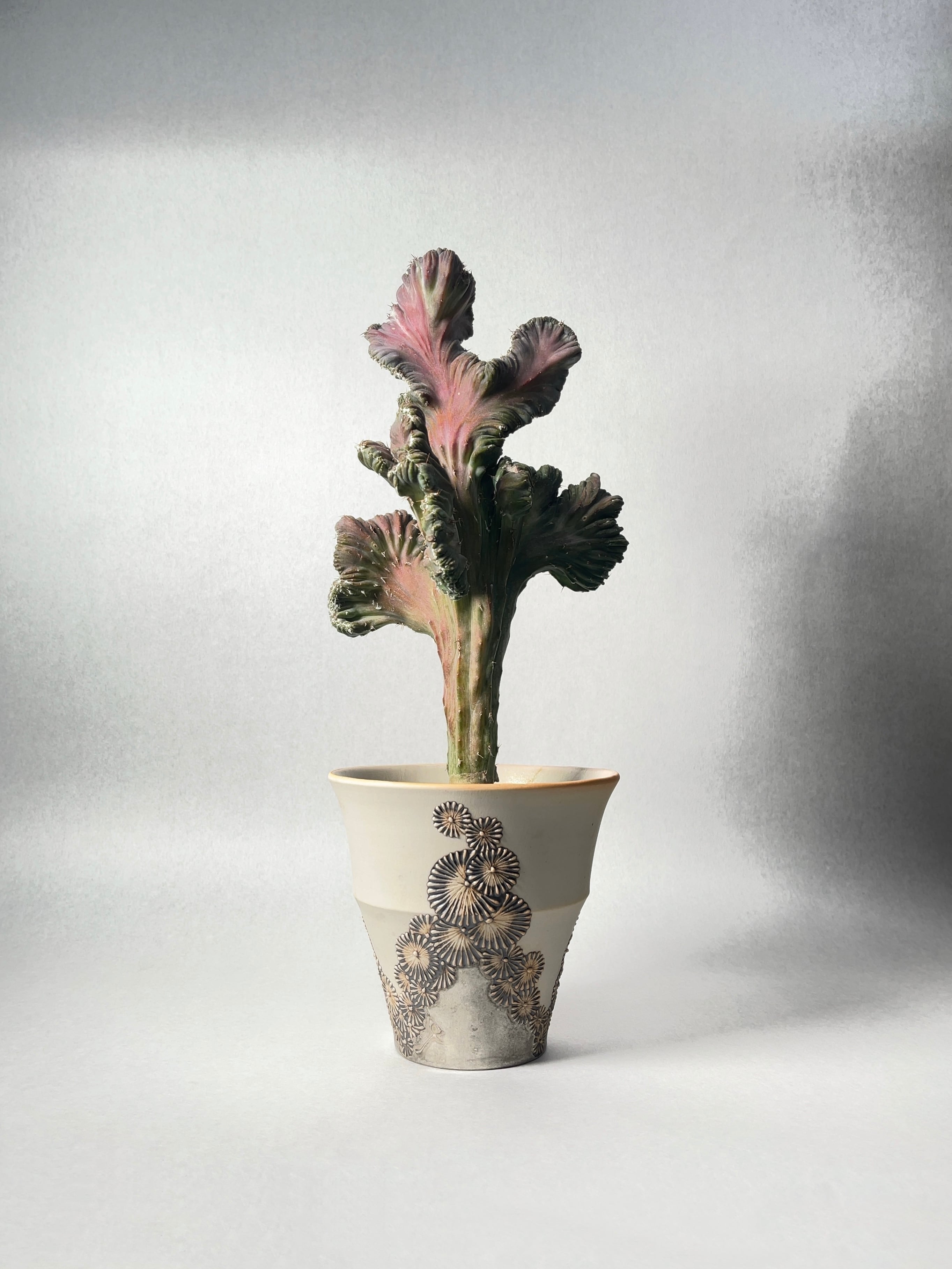 ddb811c49d815822753ed30c162924