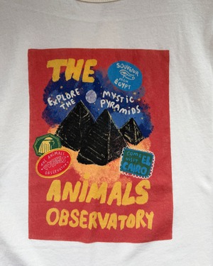 【The Animals Observatory 14Y】DUNKER  T-SHIRT
