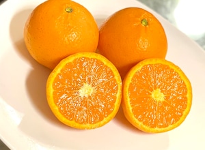 のむちゃん1号　高機能柑橘　　3Ｋ