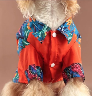 【nalu_select】Summer Holiday トロピカルシャツ(orange)