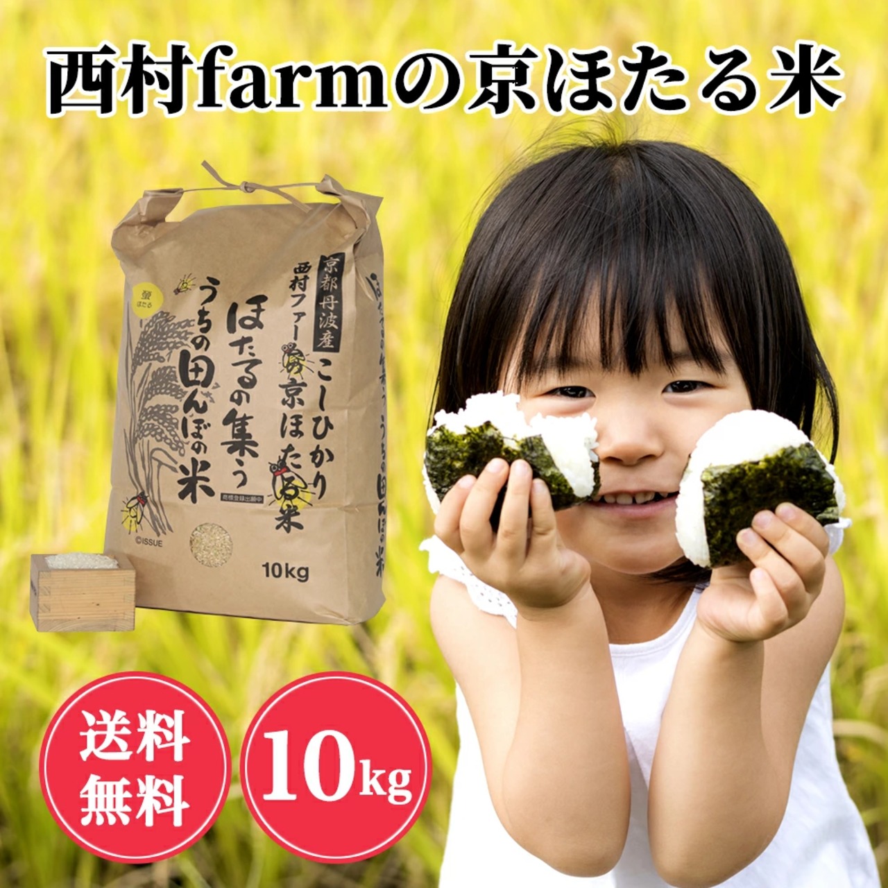 農家直送 令和6年コシヒカリ こしひかり 新米 減農薬 30kg 玄米