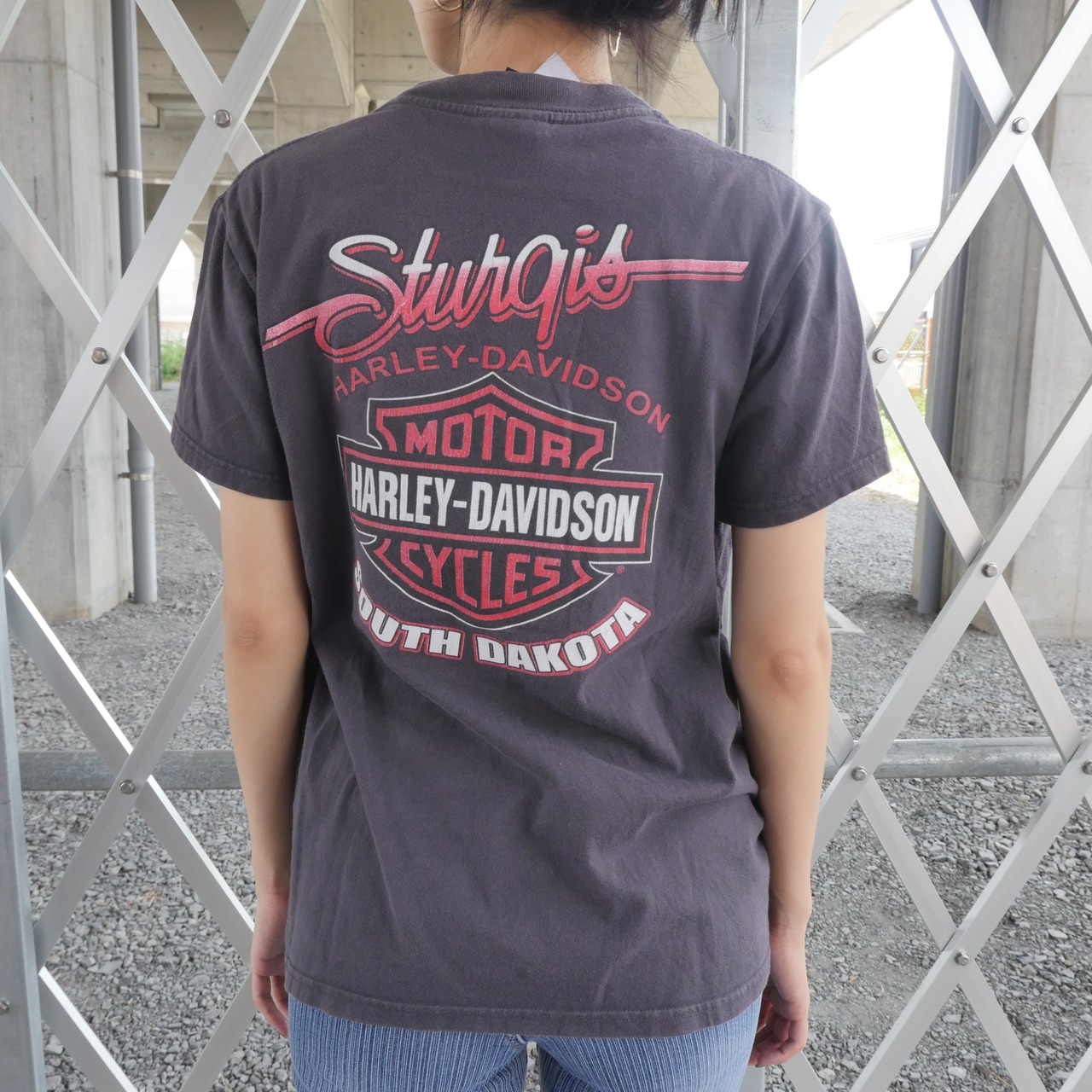 Harley-Davidson | South DAKOTA Grey T-shirt