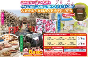 2020年3月長野発,梅の名所亀戸天神とお刺身食べ放題の人気店たいこ茶屋のご昼食に今年でさよならNHKスタジオパーク日帰りバスツアー8980円