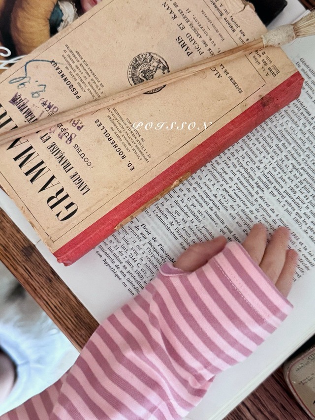 予約 HeartDangaraT-shirt [ poisson ]