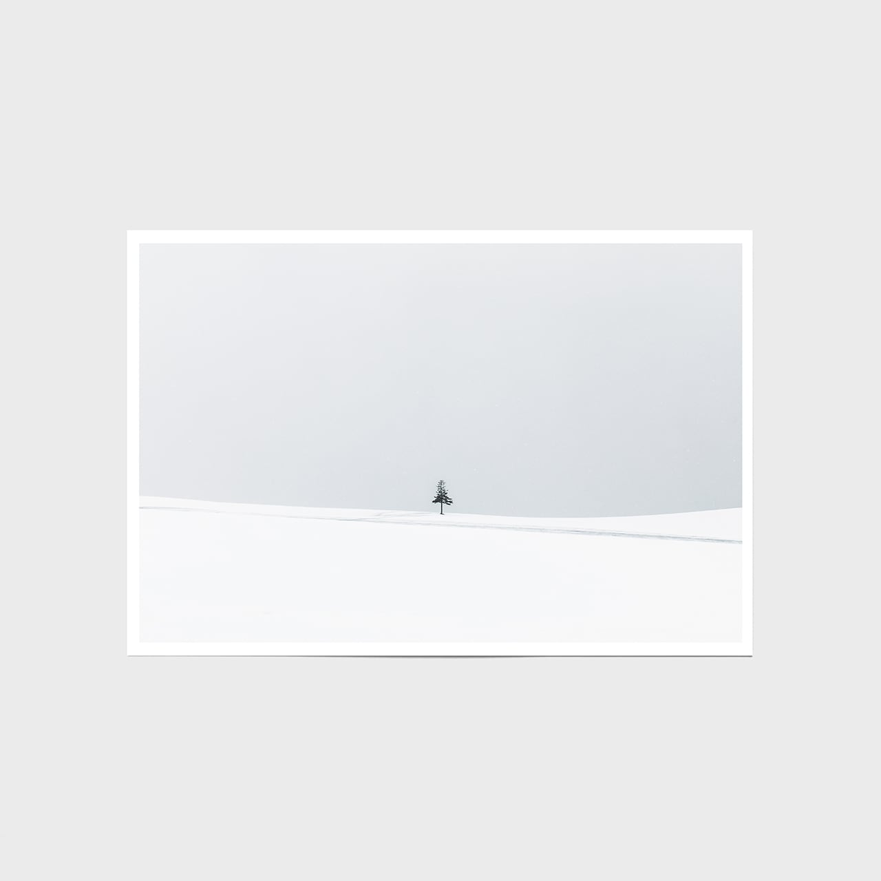 SNOW WHITE〈ポストカード10枚セット〉 | 拓真館 TAKUSHINKAN