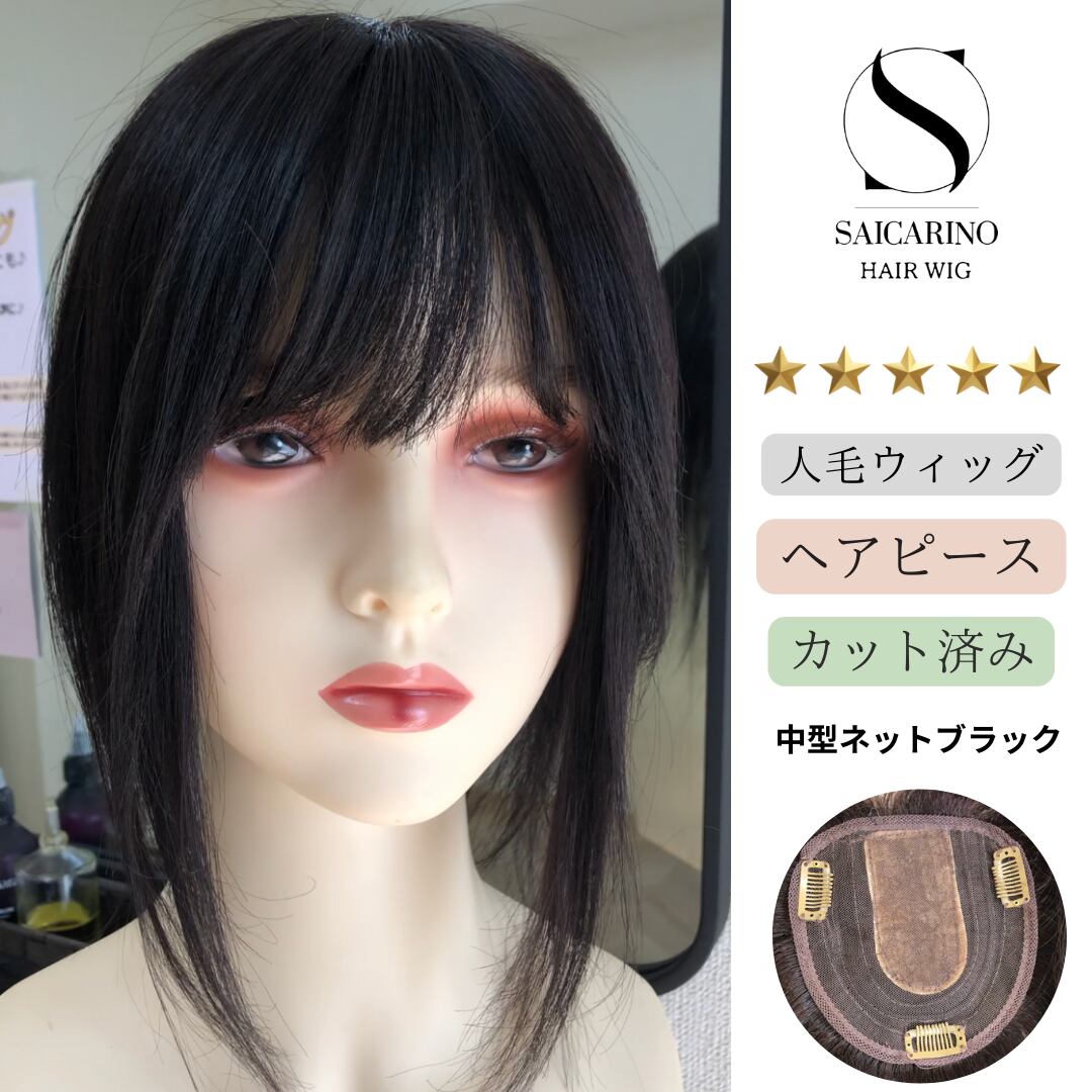 11品名ソワニー（ブラック） 中型ネット 人毛ウィッグピース 