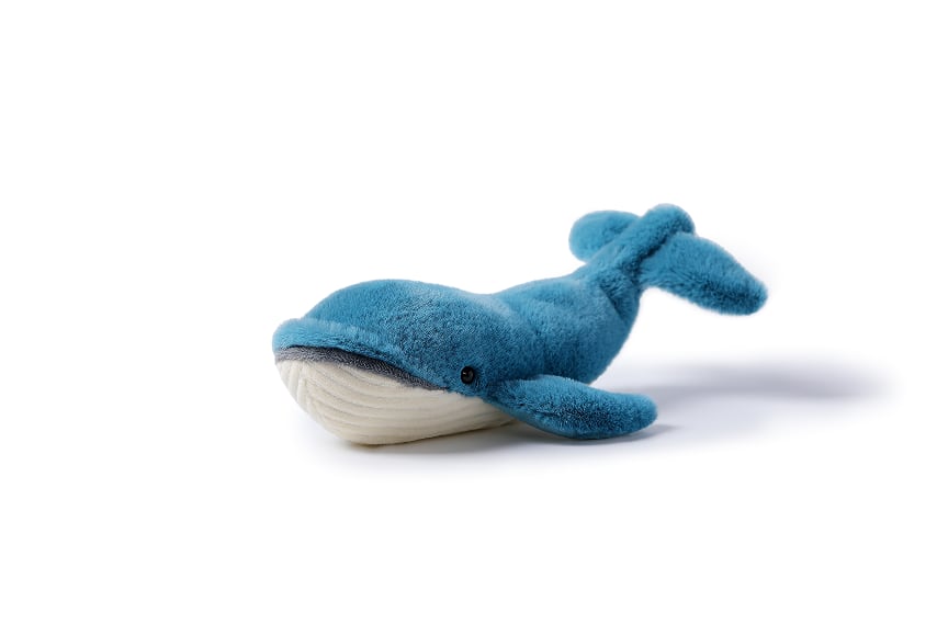 Free Blue Whale_MC300297