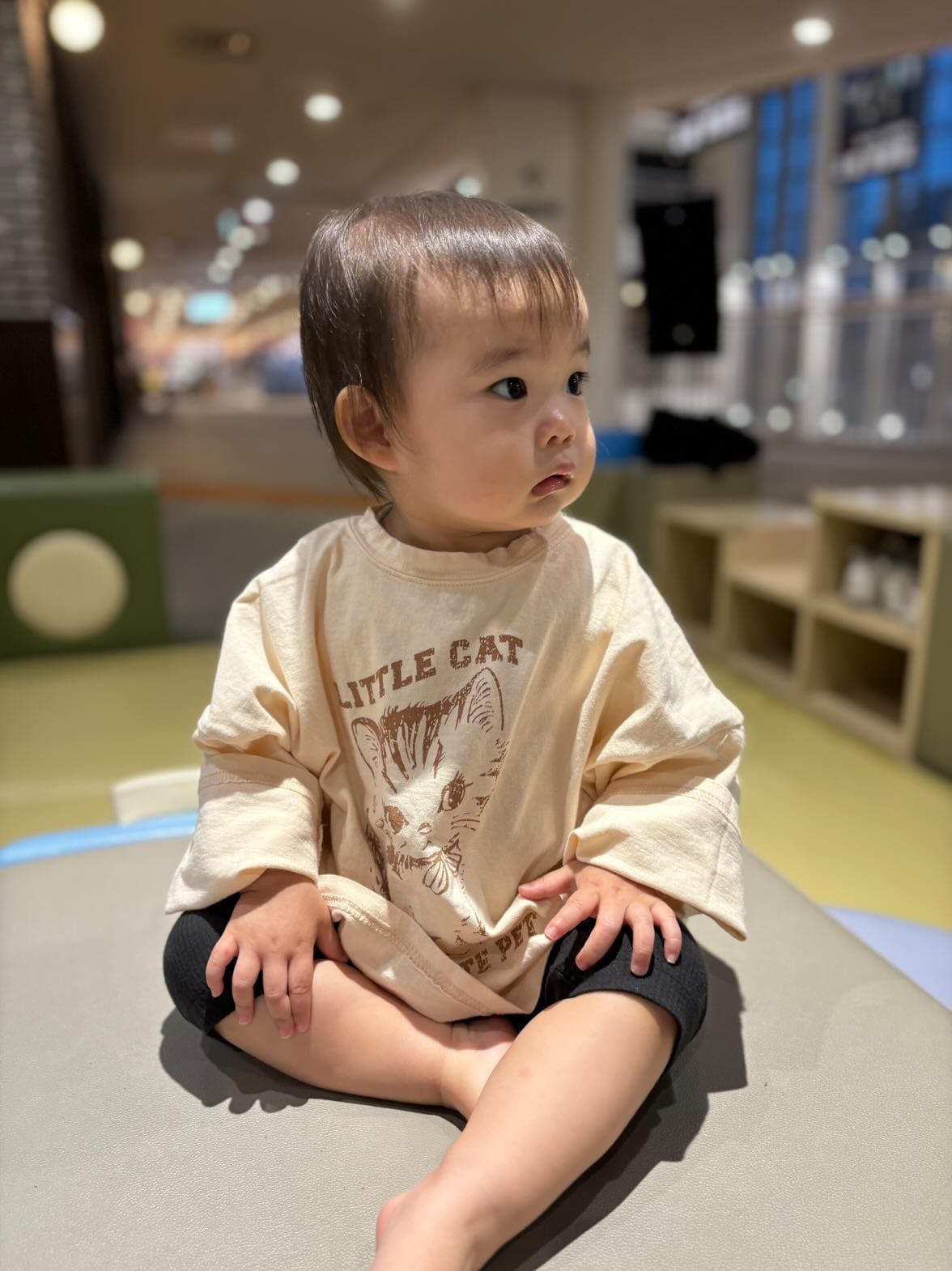 即納◆85-95 Little cats T バニラ-the funny