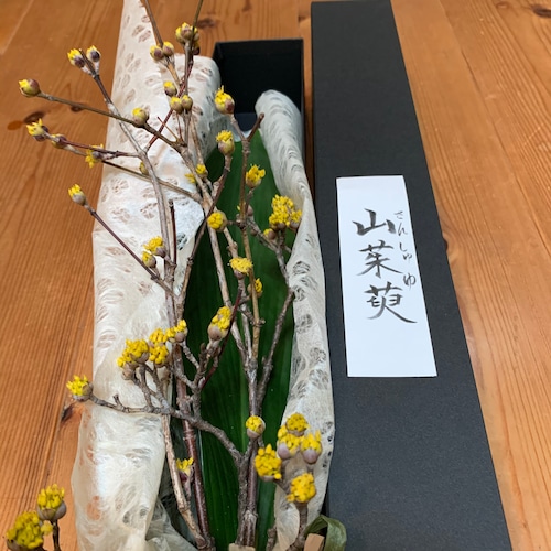 ボックスフラワー　季節の切花　2月山茱萸（さんしゅゆ）