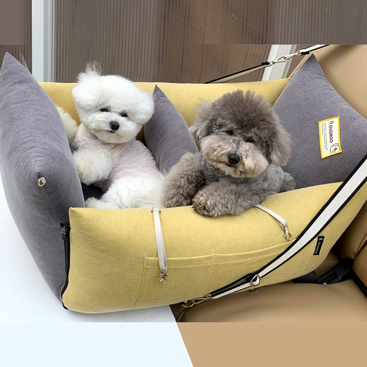 All-Round L Driving Kit【G Mango】with shade screen / Dugroo / Dog