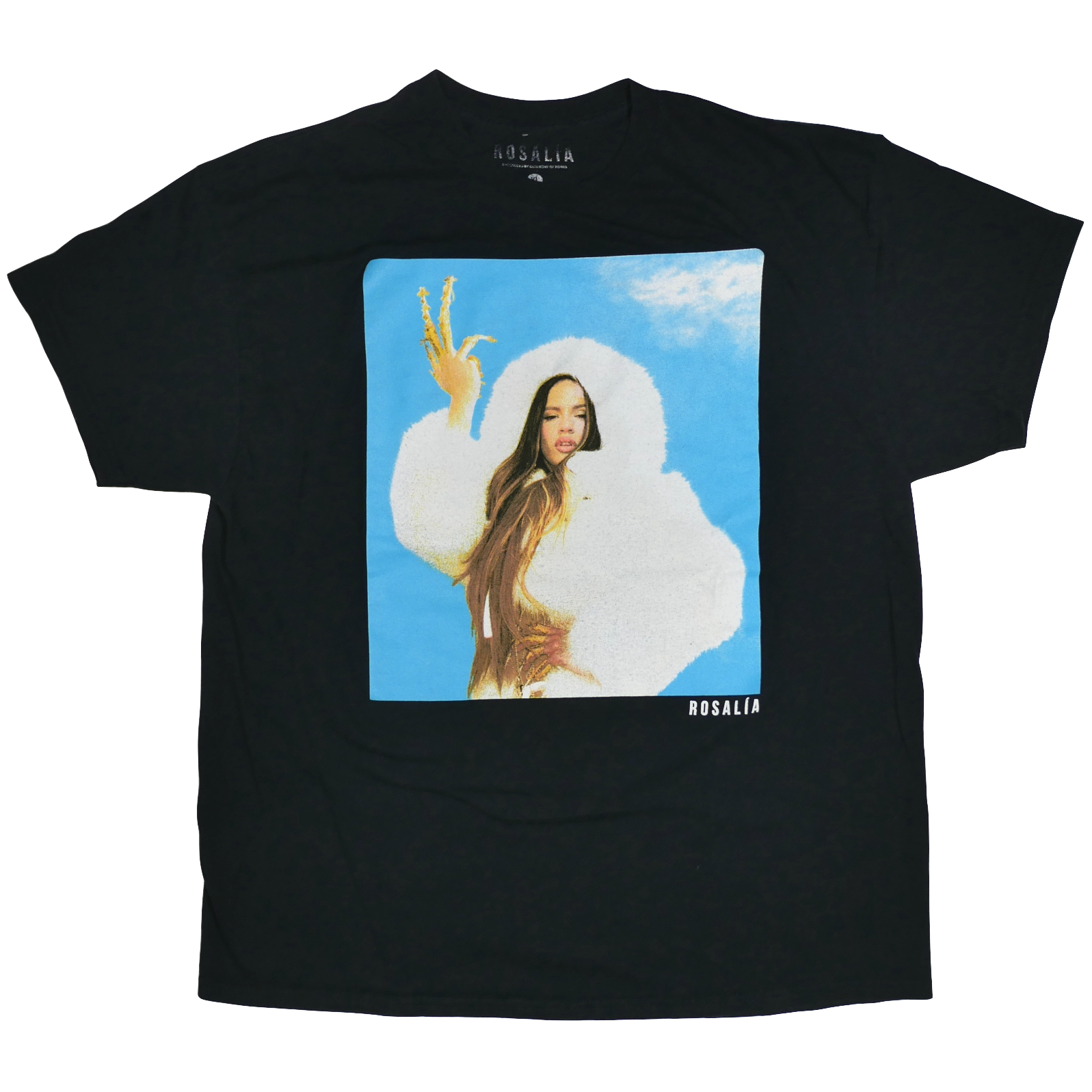 USED【XL】Rosalia ロザリア Tee