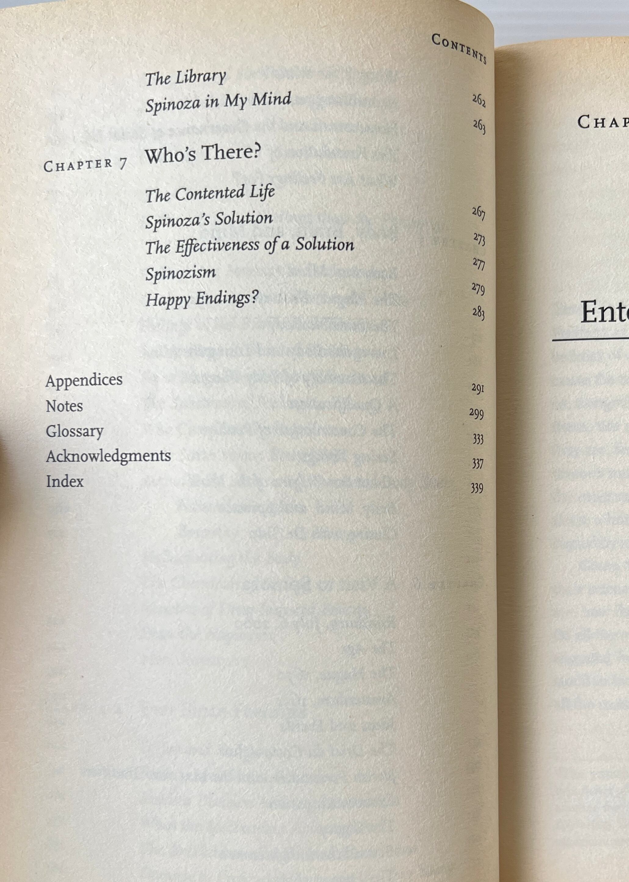 Looking for Spinoza : Joy, Sorrow and the Feeling Brain / Antonio Damasio / Vintage