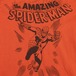 1799R2 SPIDER MAN スパイダーマン マーベルコミック Tシャツ キッズ古着 サイズ120