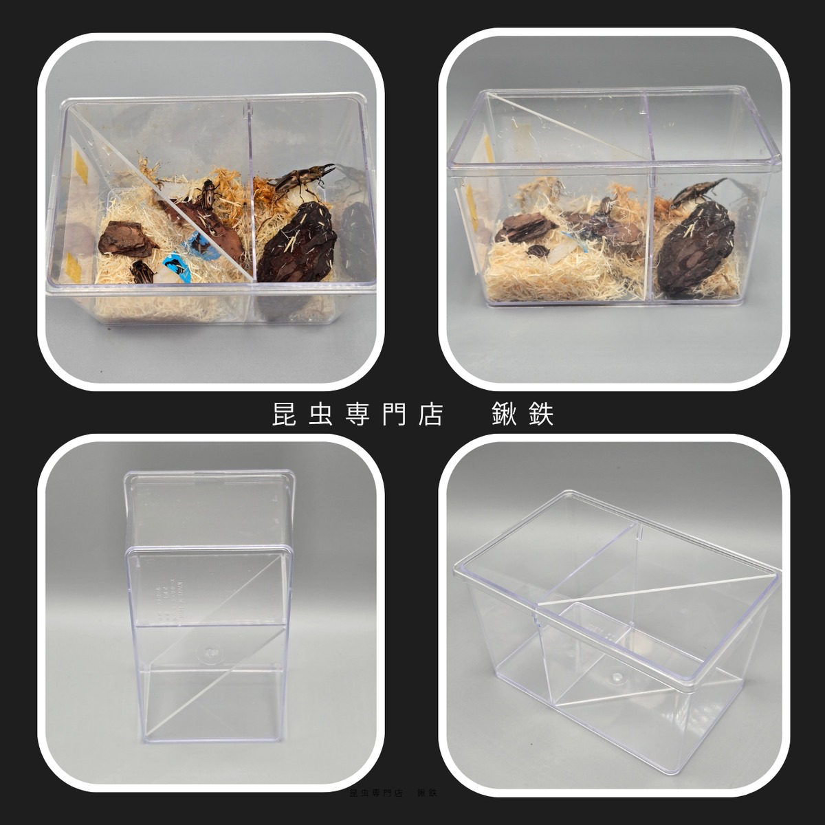 Nスラ】5枚組 クリアスライダー専用セパレーター | 昆虫専門店 鍬鉄