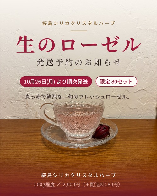 2026年度丙午ローゼル先行予約受付