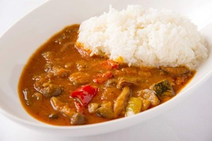 【凍眠】体が喜ぶ１０種の野菜と和牛スジ肉のこだわりカレー