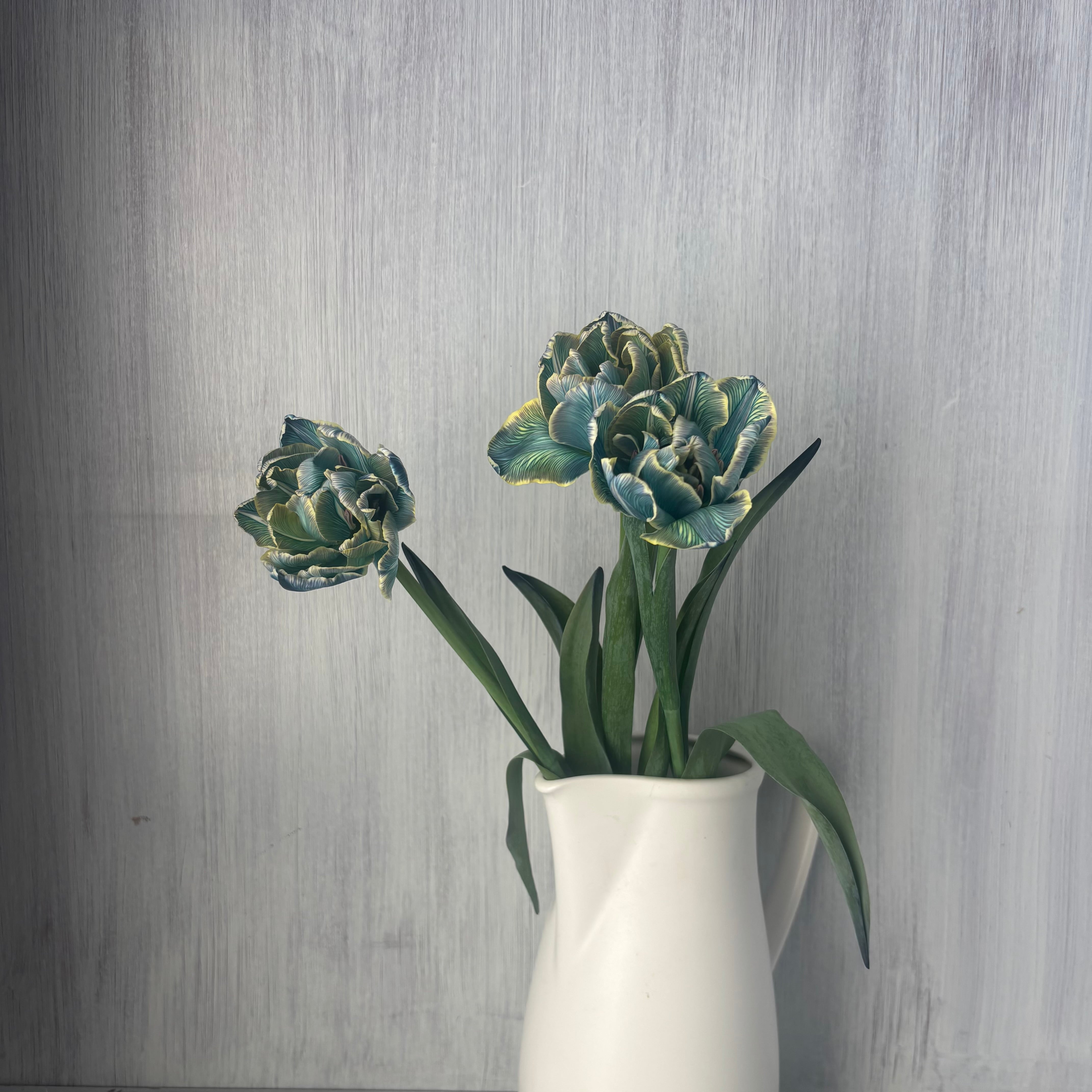 今週のチューリップ 即出荷】 ブルー色の染めチューリップ八重咲き