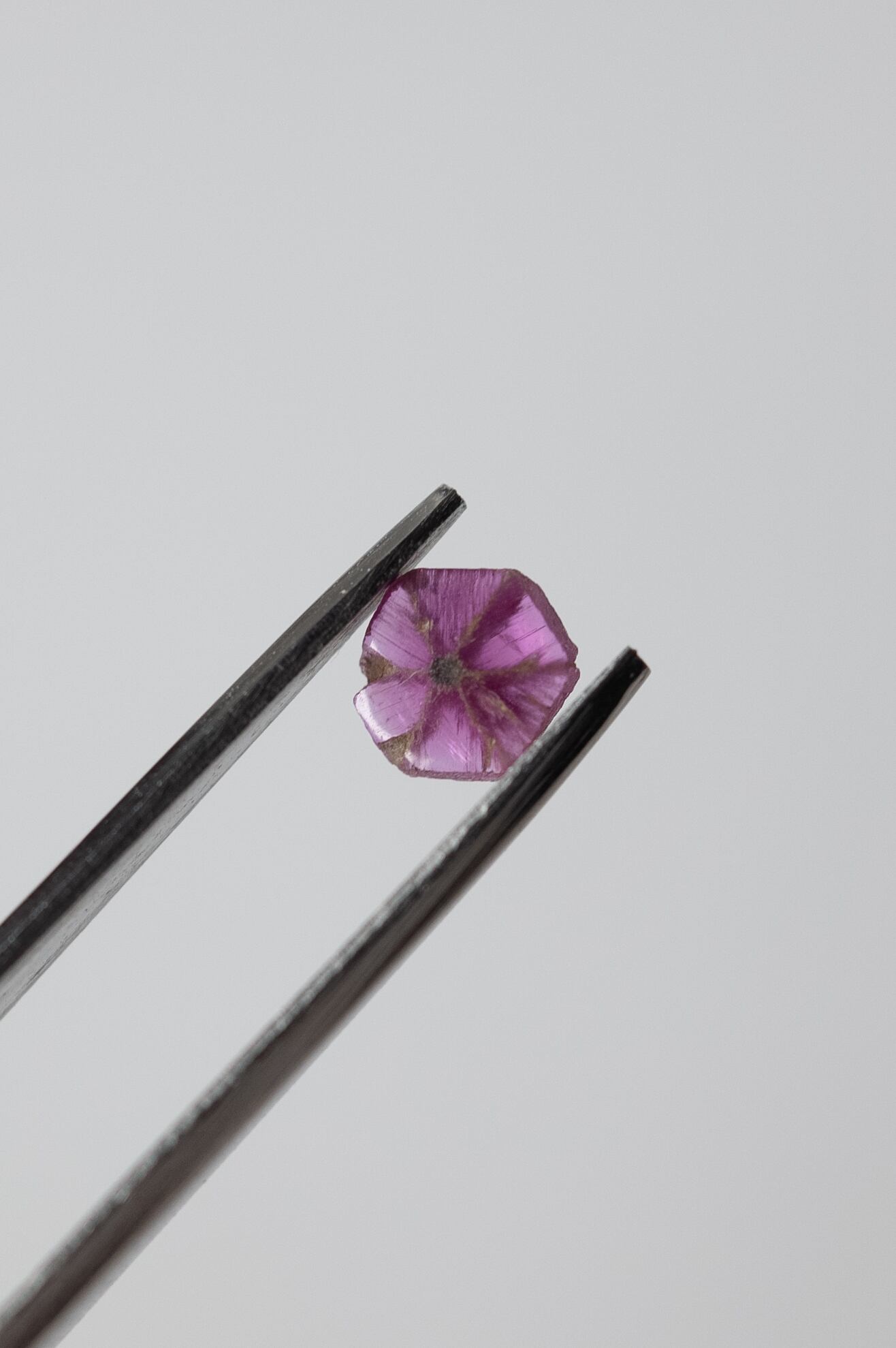 トラピッチェルビー - 017