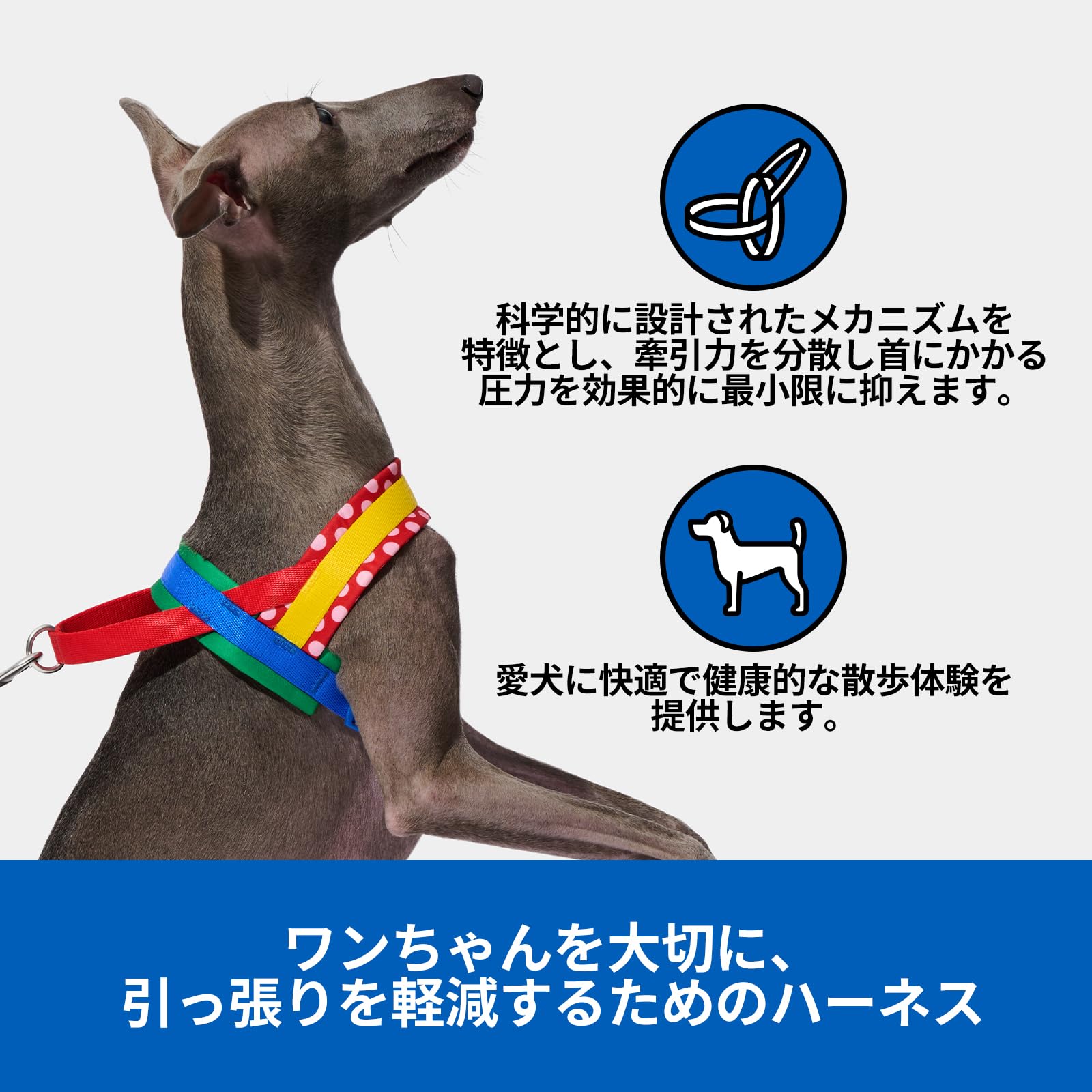 人気商品】VETRESKA ベトレスカ ハーネス CHROMA ハーネスリード