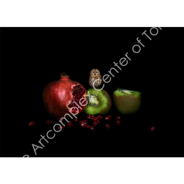 飯田かずな「フクロウのフリュイ・デシレ」