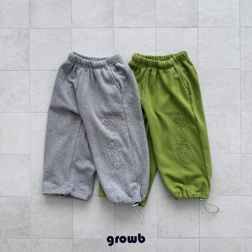 growb［取寄］steddy pants 26autumn