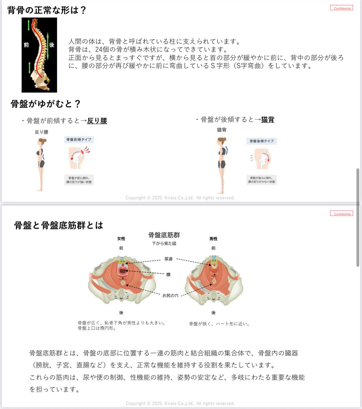 骨盤底筋フィットネスマット ペルフィット 9800 | Alive shop