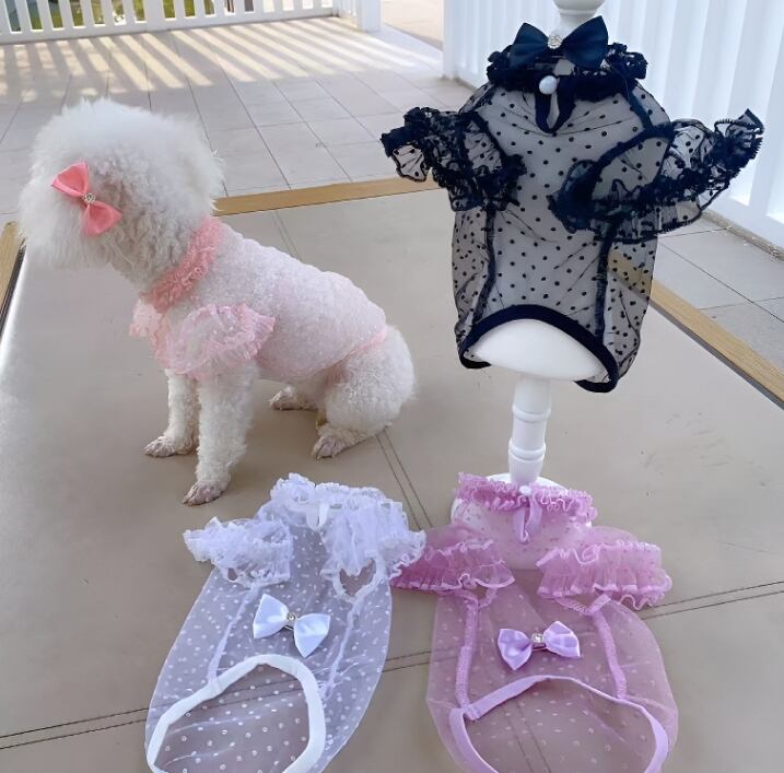 《予約》1103189 ドットシースルートップス