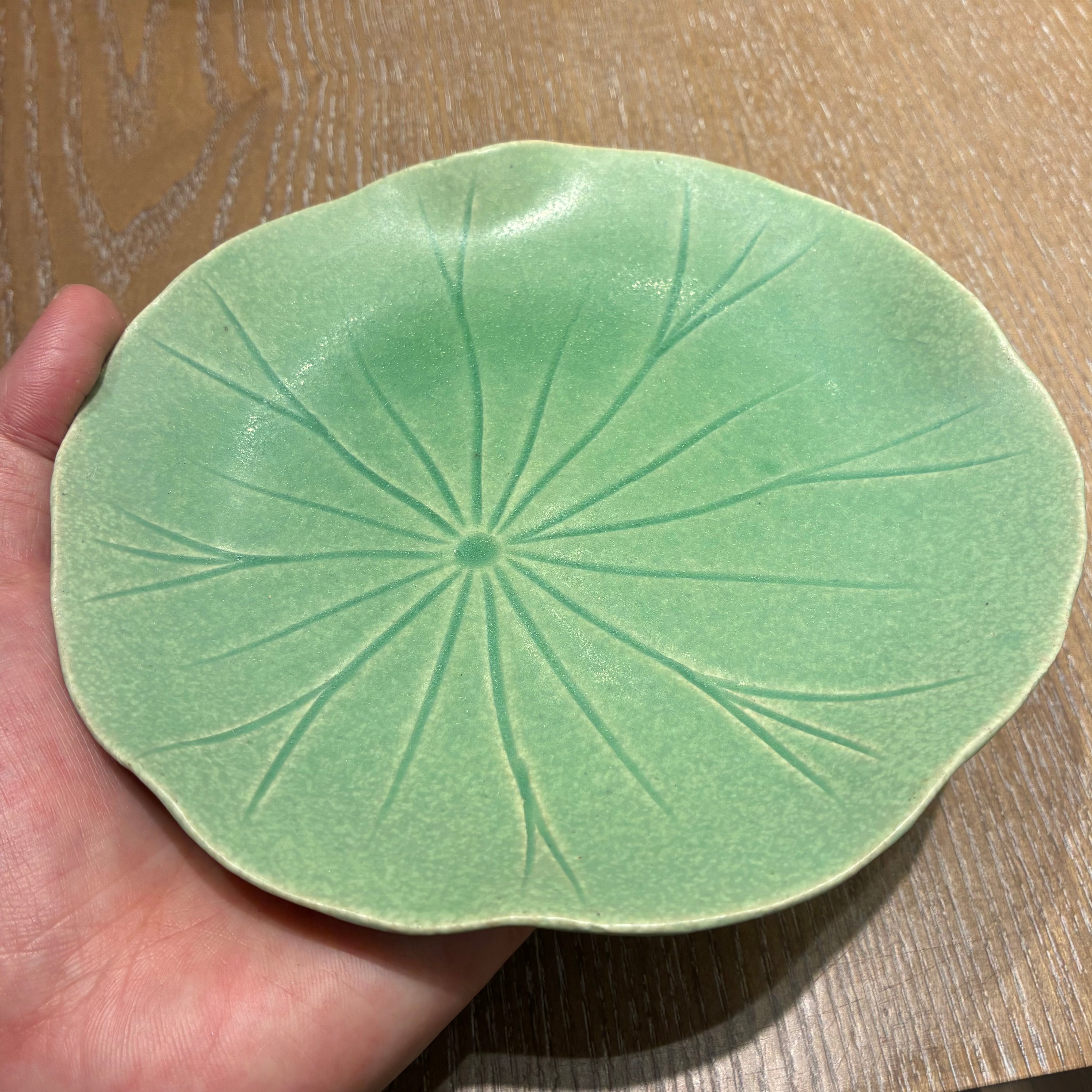 25夏】Lotus 蓮の葉取皿 (幅 16 cm) | TSUNE;田中恒子の器 オンライン