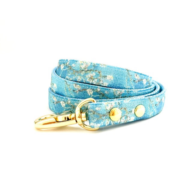 Leash (starry night)