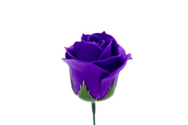 パステルバラT-PU4 ディープバイオレット (15輪入りor25輪入り)